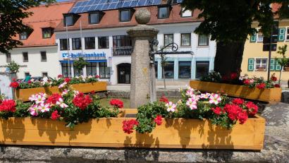 Bild: Fred Lehner
Die schöne Blumenpracht am Luitpoldplatzbrunnen sticht sofort ins Auge.