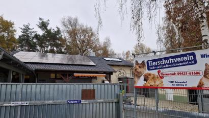 Bild: Dobler
Der Tierschutzverein Stadt und Landkreis Schwandorf ist mit seinen 2570 Mitgliedern der größte in Schwandorf. Er betreibt das Tierheim im Schwandorfer Stadtteil Niederhof, das für den ganzen Landkreis Schwandorf zuständig ist.