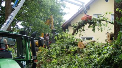 Bild: sir
Mit einem Kran werden nach dem Sturm in Bruck Stämme, Geäst und Blätterwerk beseitigt.