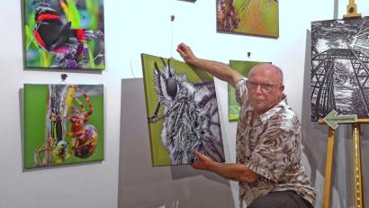 Bild: lnz
Fotograf Norbert Grüner präsentiert eine neue Ausstellung im Museum Mitterteich. Dazu zählen auch Nahaufnahmen von Insekten, die für so manche Betrachter wie außerirdische Wesen wirken dürften.