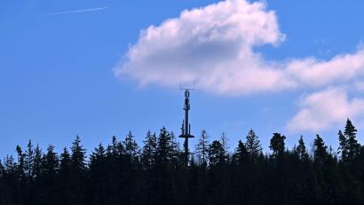 Bild: Martin Schutt/dpa
Hier gibt es Handynetz - anderswo fehlen hingegen noch Mobilfunkmasten im Wald, an Wiesen oder an Bauernhöfen. (Symbolbild)
