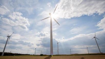 Symbolbild: Christoph Soeder/dpa
Die Grünen wollen neuen Schwung in die Beteiligungsdebatte rund um Windkraft und Photovoltaik bringen.
