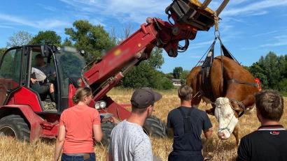 Bild: Freiwillige Feuerwehr Hahnbach
Die Freiwillige Feuerwehr Hahnbach hat einem Landwirt beim Einfangen einer entlaufenen Kuh geholfen.