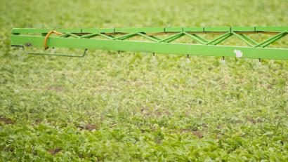 Symbolbild: Julian Stratenschulte
So läuft Unkrautbekämpfung bisher oft: Herbizide zur Vernichtung von Unkraut auf ein Feld