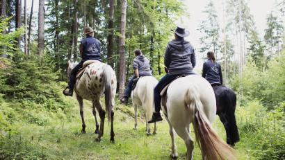 Bild: Daniel Delang
Sich einmal wie ein Cowboy fühlen: Auch ein geführter Western-Ausritt ab der Grenzmühle bei Bärnhöhe steht auf dem Programm.