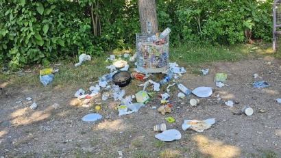 Bild: Erika Jenke
Eine Szene, wie man sie oft sieht am Grill- und Streetballplatz am Amberger Drahthammer. Viele Nutzer des Platzes lassen ihren Müll einfach liegen in der Landschaft.