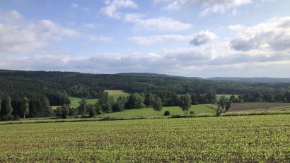 Bild: wro
Ob und wann im Teichelberg (Bild) einmal Windräder stehen werden, ist derzeit noch ungewiss. Trotzdem formiert sich bereits Widerstand dagegen.