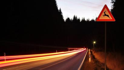 Symbolbild: Jan Woitas/dpa-Zentralbild/dpa
Plötzlich rennt ein Reh auf die Straße - mit Folgen für die Autofahrerin.