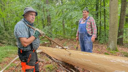 Bild: Hans Walter
Ludwig Arnold und Michael Reindl neben dem entrindeten Stamm.