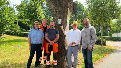 Bild:  Andreas Hofmeister/Stadt Schwandorf
Die Bauhofmitarbeiter Franz Scharf, Christian Buchmann und Mario Kranz sowie Oberbürgermeister Andreas Feller und Bauhofleiter Michael Übel 
(von links) brachten die Hinweistafel an der Linde in der Kreuzbergallee an.