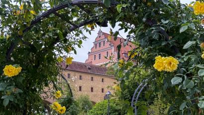 Symbolbild: Stephan Huber
Neben Regen bringt das Wochenende auch immer wieder Sonnenschein, der sich zum Beispiel im Amberger Rosengarten genießen lässt.