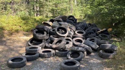 Bild: Polizeiinspektion Neustadt/Waldnaab
Diesen Haufen Altreifen hat ein Spaziergänger im Wald bei Parkstein entdeckt.