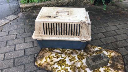 Bild: Stadt Weiden
In dieser Box hat die Polizei die tote Katze gefunden.