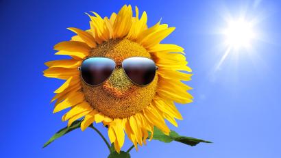 Bild: Thaut Images/Adobe Stock
Sommer, Sonne, Freizeitspaß