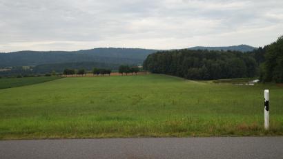 Bild: wel
Links der Straße von Dieterskirchen nach Weichelau liegt das Areal für den neuen Solarpark kurz vor der Ortschaft Weichelau.