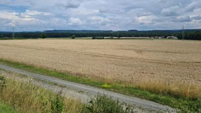 Bild: sne
Auf einer Fläche nördlich des Netzabergs in der Gemeinde Eschenbach ist eine Agri-PV-Anlage geplant. Der Stadtrat Grafenwöhr sieht dies kritisch.