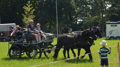 Archivbild: dob
Auch heuer gibt es wieder das Angebot der Pferdefreunde im Grenzland Vohenstrauß zu Kutschenfahrten oder Ponyreiten.