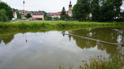 Bild: tra
Das ökologische Ausgleichsbecken soll leer gepumpt und das Breitbandkabel in einem Damm verlegt werden.