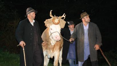 Archivbild: lg
Beim Schmuggeln sind der Kreativität keine Grenzen gesetzt: Aus der Kuh wird auch mal ein Hirsch.