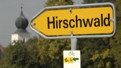 Archivbild: Petra Hartl
Hier geht's lang: Im Hirschwald, zwischen Köfering und Waldhaus, soll ein neuer Windpark entstehen.