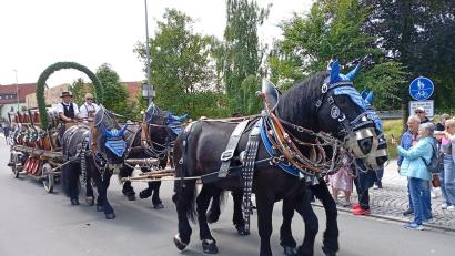 Bild: Oswald Zintl
Der Hingucker beim Festzug: Vier Pferde zogen diesen Dameradl-Zoigl-Wagen. Festorganisator Bernd Aßmann (rechts) hatte vorne beim Kutscher Platz genommen.