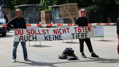 Bild: Daniel Löb/dpa
Schon seit Tagen gibt es Proteste vor dem Nürnberger Tiergarten. Nun soll ein Camp folgen. (Archivbild)