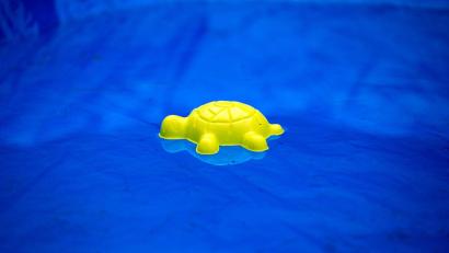 Bild: picture alliance / Arno Burgi/dpa-Zentralbild/ZB
Die vermissten Kinder wurden tot in einem privaten Pool gefunden. (Symbolbild)