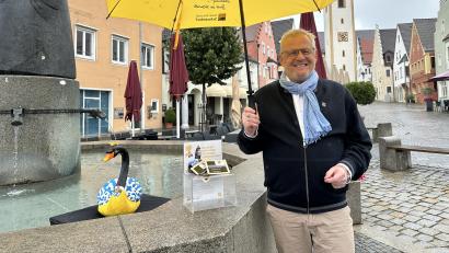 Bild: Lara Schmaus
Wie soll der Schwan heißen? Bürgerinnen und Bürger aus Schwandorf sollen entscheiden.