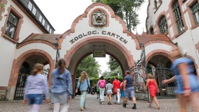 Bild: Jan Woitas/dpa-Zentralbild/ZB
Der Leipziger Zoo hat drei Tigerbabys eingeschläfert. (Archivbild)