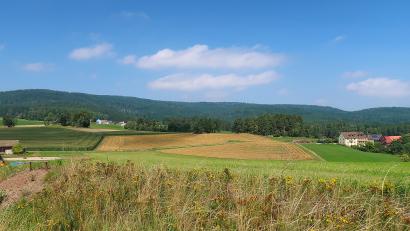 Bild: bsc
Wenn es nach den Willen des Friedenfelser Gemeinderats geht, soll der Naturpark Steinwald von Windrädern frei gehalten werden. Im Bild der Friedenfelser Ortsteil Bärnhöhe mit dem Steinwaldkamm im Hintergrund.