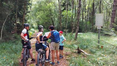 Bild: lg
Der drei Kilometer lange Lehrpfad wird mitunter auch per Mountain-Bike absolviert. Bei der Orientierung gibt es kein Problem.