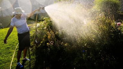 Symbolbild: Julian Stratenschulte/dpa
Der Sommer ist mit Temperaturen über 30 Grad zurück: Wie gießt man an solchen Tagen eigentlich seinen Garten richtig? Eine Expertin gibt Antworten.
