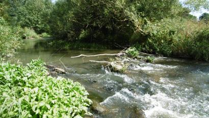 Archivbild: mma
Ein idyllischer Abschnitt der Vils im Norden von Hahnbach.