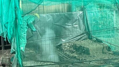 Bild: Staatliches Bauamt Amberg-Sulzbach/Stefan Noll 
Keine alltägliche Baustelle: Man muss genau hinsehen, um den Spezialisten zu entdecken, der hier in Schutzkleidung und in einem "Käfig" mit der Hochdrucklanze Betonreste aus der Amberger Erzbergbrücke "schneidet".