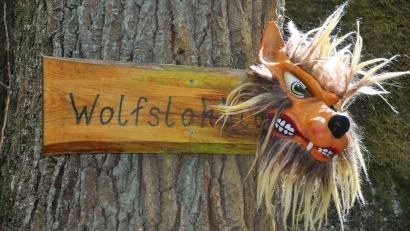 Bild: Eva Ehmann
Die Wolfslohklamm ist ein magischer Ort.