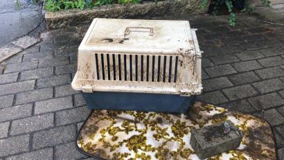 Bild: Stadt Weiden
Die Stadt Weiden sucht Zeugen. Wer kennt die Transportbox, in der die tote Katze im Stadtmühlbach gefunden wurde?