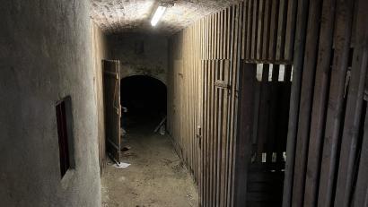 Bild: ass
Eingang zum historischen Bierkeller am Schießstätteweg. Vorne wird er als Kellerabteil für die Mieter genutzt, hinten setzt er sich als großer Bierkeller fort, der irgendwann zugemauert war.