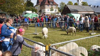 Bild: FGV-Ortsgruppe Brand
Das Schaffest zählt zu den größten Handwerker- und Bauernmärkten Nordostbayerns.