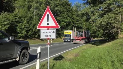 Bild: lnz
Warnschilder mit dem Zusatz "frei laufende Tiere" stehen seit einer Weile beidseitig an der B 15 zwischen Tirschenreuth und Mitterteich im Bereich der Maria-Weiher-Kurve.