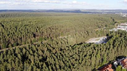 Archivbild: Beer
Der Wald, der dem Gewerbegebiet West IV weichen sollte, ist wieder Thema. Kann die Stadt ihn gegen die Flächen im fränkischen Steigerwald tauschen?