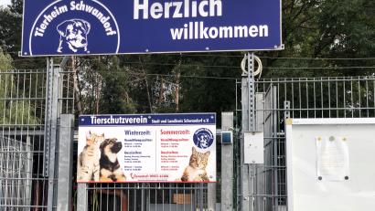 Archivbild: td
In der Facebook-Gruppe "Tierheim Schwandorf" ist eine Diskussion entfacht.