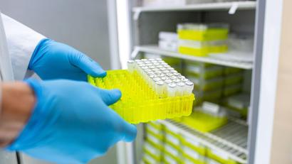 Bild: Guido Kirchner/dpa
Ehec steht für enterohämorrhagische Escherichia coli und bezeichnet bestimmte krankmachende Stämme dieses im Darm vorkommenden Bakteriums.