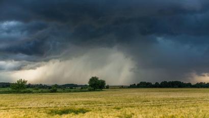 Symbolbild: Bernd März/dpa
Das Wetter am Wochenende in der Oberpfalz wird wechselhaft. Sonne, Gewitter, Regen – alles ist dabei.