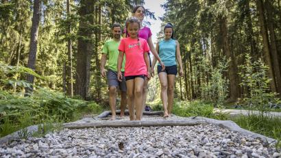 Bild: Thomas Kujat, Oberpfälzer Wald 
Der Walderlebnispfad macht nicht nur im Sommer, sondern auch im Herbst Spaß.