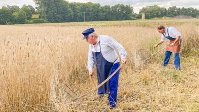 Bild: hwk
Die Getreideernte wie in alten Zeiten ist schwere körperliche Arbeit.