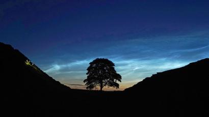 Bild: Owen Humphreys/PA Wire/dpa
Der Sycamore Gap Tree in England war einst ein beliebtes Fotomotiv. (Archivfoto)