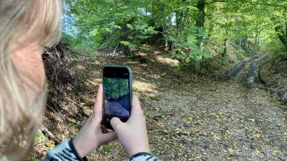 Bild: upl
Der Hohlweg, in dem der Täter die Leiche des Buben zum Wald getragen hat.