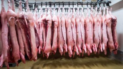 Bild: Christian Charisius/dpa
China erschwert mit Zöllen den Import von Schweinefleisch aus der EU. (Symbolbild)
