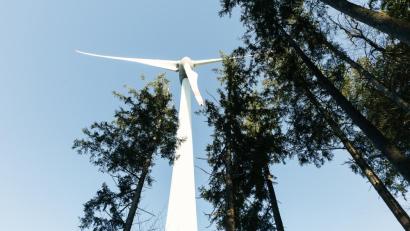 Bild: Sigrid Reinichs
In Lauterhofen im Landkreis Neumarkt sollen Windräder errichtet werden.