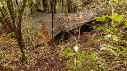 Bild: NZ Police/dpa
Das Hauptlager wurde in einem dichten Wald auf der Nordinsel entdeckt.